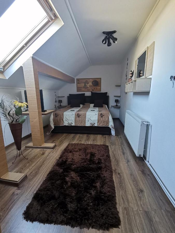 Shelby Accommodation -Adult Only- Сіная Номер фото